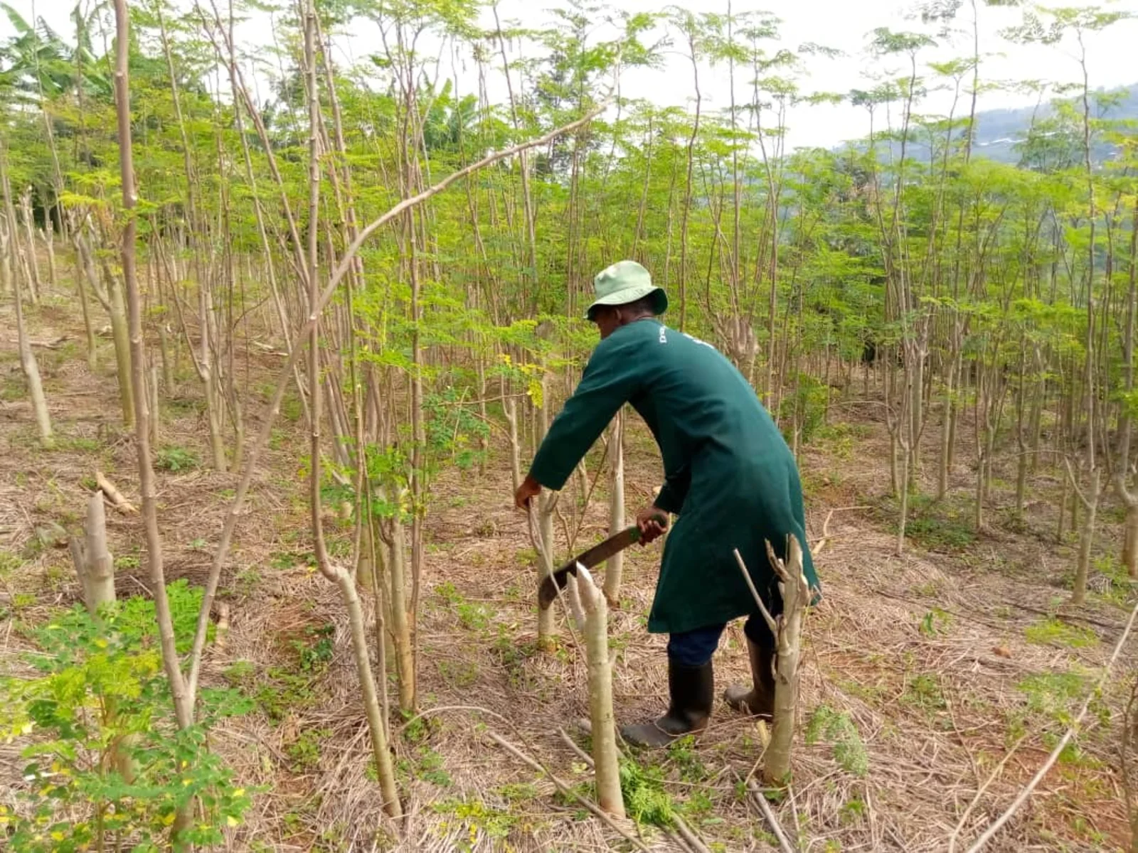 Agriculture NGO Rwanda
